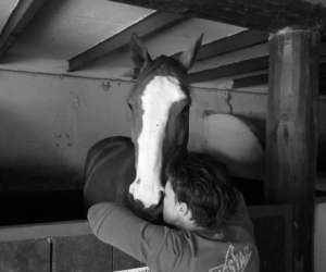 Les Ecuries Du Cheval Roi