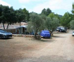 photo Camping domaine de la cigaliere Le Cannet Des Maures 7514