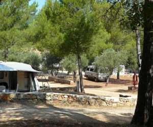 photo Camping domaine de la cigaliere Le Cannet Des Maures 7516