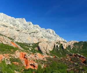 photo G�te lavandula Auriol 7528