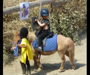 photo Animenfance - mon ami poney Tourrette Levens 11330