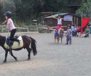 photo Animenfance - mon ami poney Tourrette Levens 11332