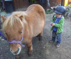 photo Animenfance - mon ami poney Tourrette Levens 11334