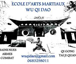 photo Ecole de kung fu wu qi dao La Garde 11144