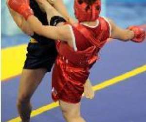 photo Ecole de kung fu wu qi dao La Garde 7828