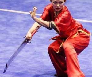 photo Ecole de kung fu wu qi dao La Garde 7829