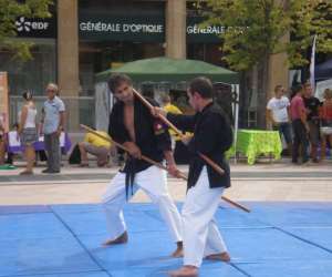 photo Shin kyo budo - cole d'arts martiaux traditionnels japonais Aix En Provence 8100