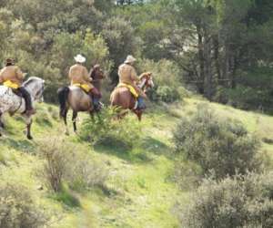 photo Open ranch les crinieres de la cote bleue Sausset Les Pins 9563