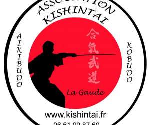 Aikibudo, Self-defense, Iaijutsu, Kenjutsu