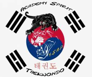 Academy Spirit Y.s.a.p Taekwondo