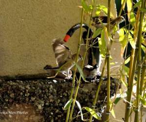 photo Pascale blanchard psychothrapeute Cagnes Sur Mer 8879