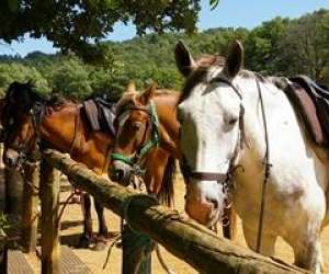 Verdon Equitation