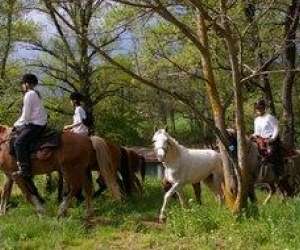 photo Verdon equitation Artignosc Sur Verdon 9228