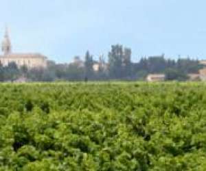 photo Cave chantectes Ste Cecile Les Vignes 9257