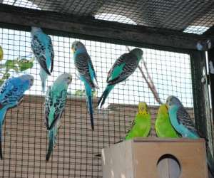 photo Fan des animaux Le Castellet 9661