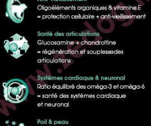photo Zedog  -  aliments pour chiens Toulon 10001