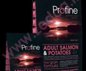 photo Zedog  -  aliments pour chiens Toulon 9996