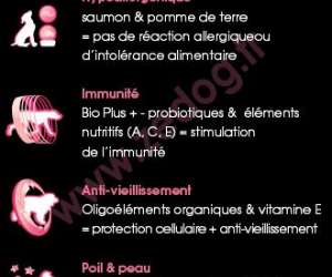 photo Zedog  -  aliments pour chiens Toulon 9997