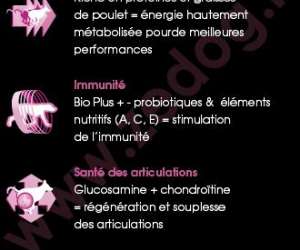 photo Zedog  -  aliments pour chiens Toulon 9999