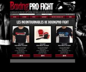 Boxing Pro Fight