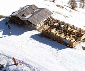 photo Restaurant d'altitude le peguieou Pra Loup 10437