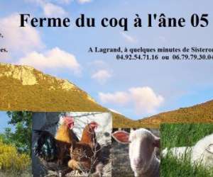 Ferme Du Coq  L