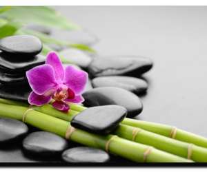 photo Institut de formations & soins �nerg�tiques bio nature Ampus 11131