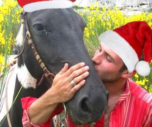 photo Randonnee  cheval le petit roman Maussanne Les Alpilles 10693