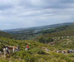 photo Randonnee  cheval le petit roman Maussanne Les Alpilles 10694