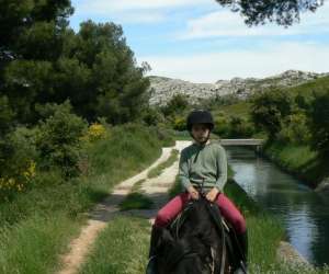 photo Randonnee  cheval le petit roman Maussanne Les Alpilles 10695