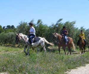photo Randonnee  cheval le petit roman Maussanne Les Alpilles 10697