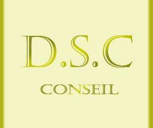 Dsc Conseil