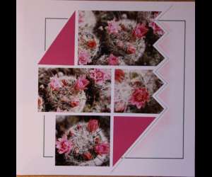 photo Scrapbooking Sanary Sur Mer 10963
