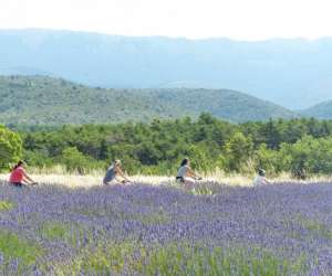 Verdon Vtt