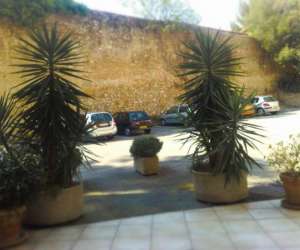 photo Bondoux amouyal kevin osteopathe d.o. Cannes 11297