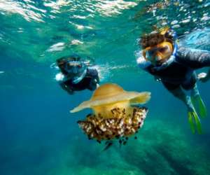 Dune Snorkeling