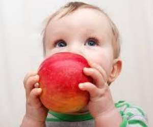photo  multi- accueil pomme d'api  Jonquieres 12894