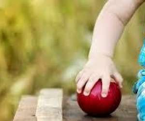 photo  multi- accueil pomme d'api  Jonquieres 12895