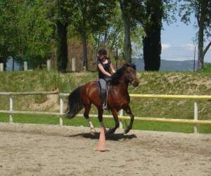 Centre Equestre Mallemort Pont Royal, Ecurie Du Soleil