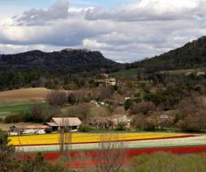 Ferme Equestre Les Coccinelles