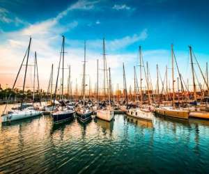 photo Arthaud yachting Cannes 14084