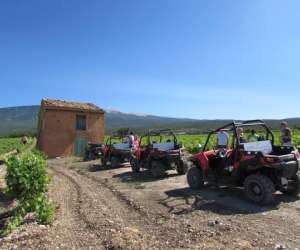 Vmv Vignerons Du Mont Ventoux