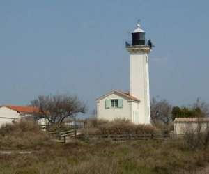 photo Le velo saintois Stes Maries De La Mer 14293