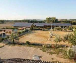 Scea Centre Equestre La Marteliere Scea Centre Equestre La Marteliere