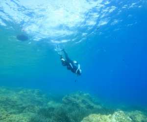 photo Abyss garden La Ciotat 15344