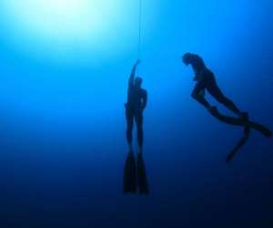 photo Abyss garden La Ciotat 15346