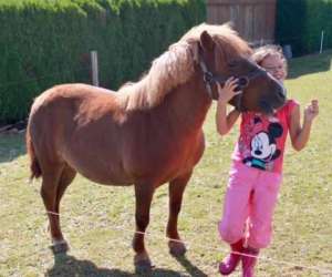 Mon Ami Poney Les Pennes Mirabeau