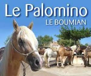 Promenade A Cheval Le Palomino