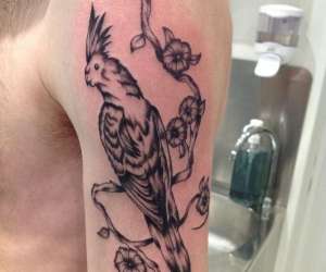 photo One tattoo art Frejus 14807