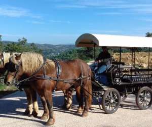 photo Les attelages de bilitis Le Val 15040